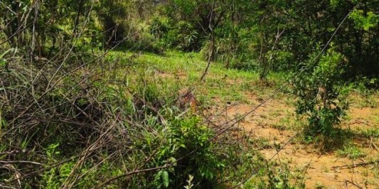 TERRENO À VENDA EM CAETANOPOLIS-MG