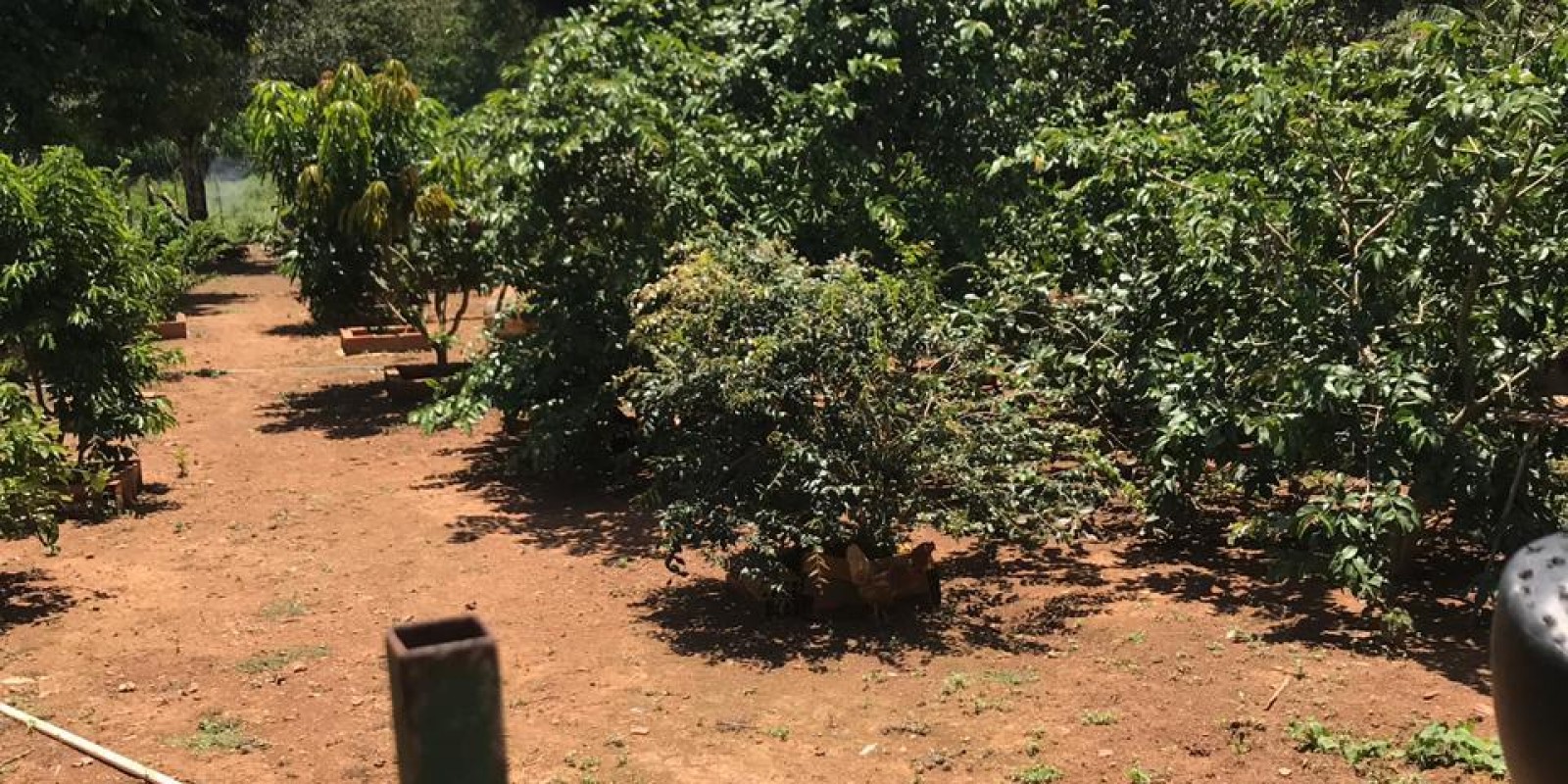 Sítio a venda em Paraopeba  - Foto 1 de 5