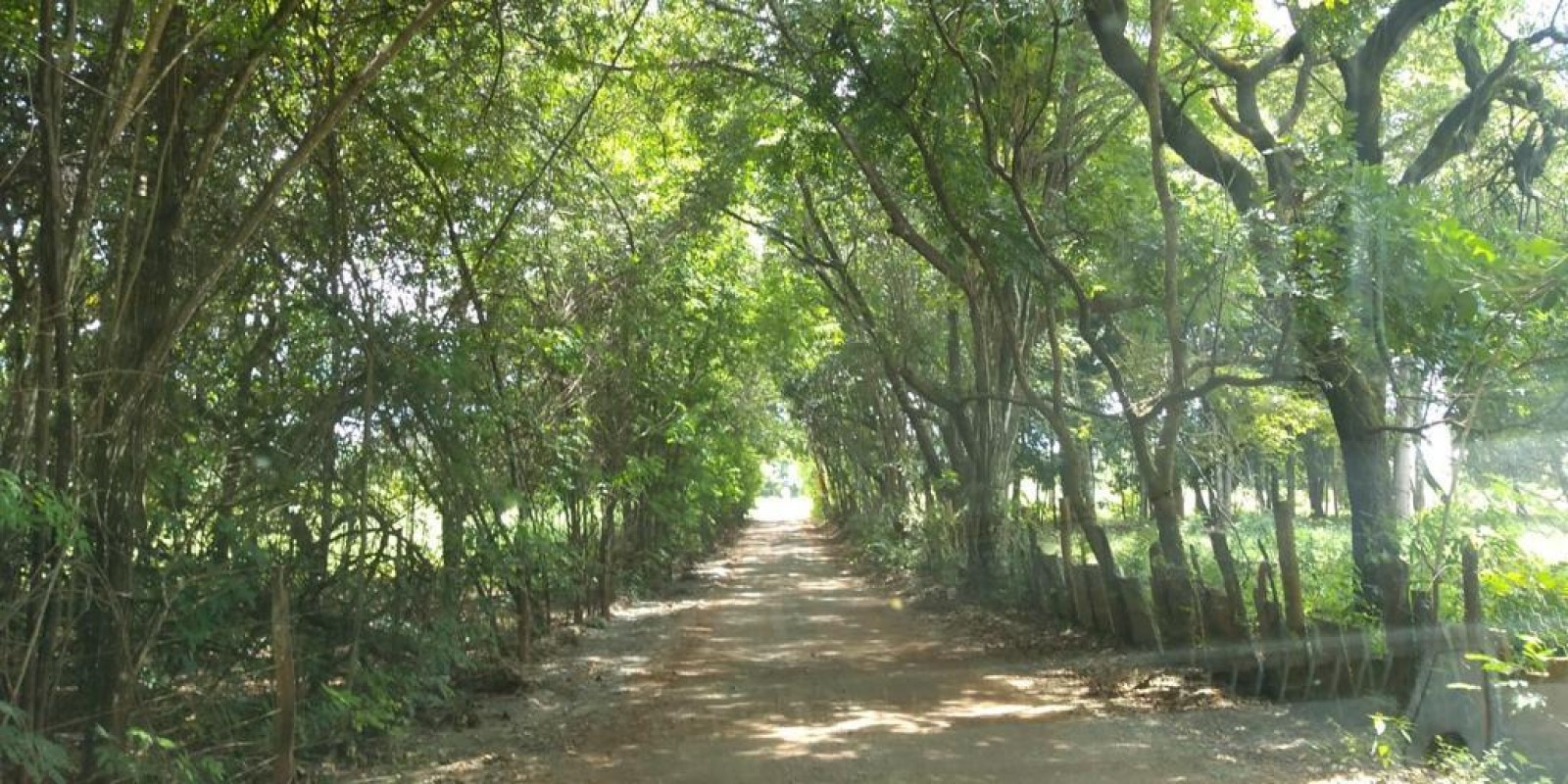 Sítio à venda em Paraopeba-MG - Foto 4 de 5