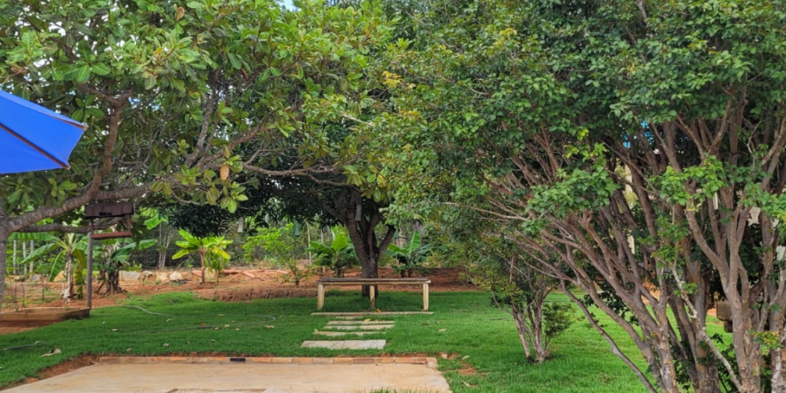 SÍTIO Á VENDA EM CAETANÓPOLIS/MG - Foto 1 de 5