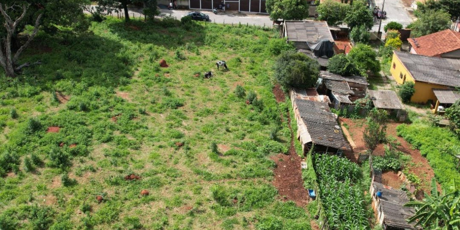 LOTE Á VENDA EM CAETANÓPOLIS/MG - Foto 1 de 3