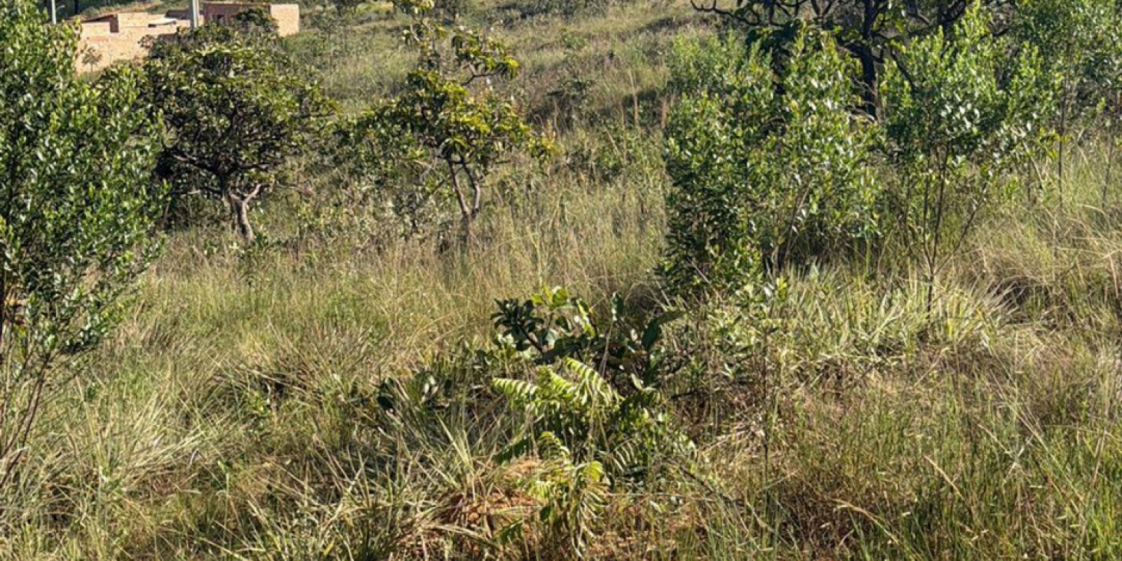 LOTE Á VENDA EM CAETANÓPOLIS/MG  - Foto 2 de 4