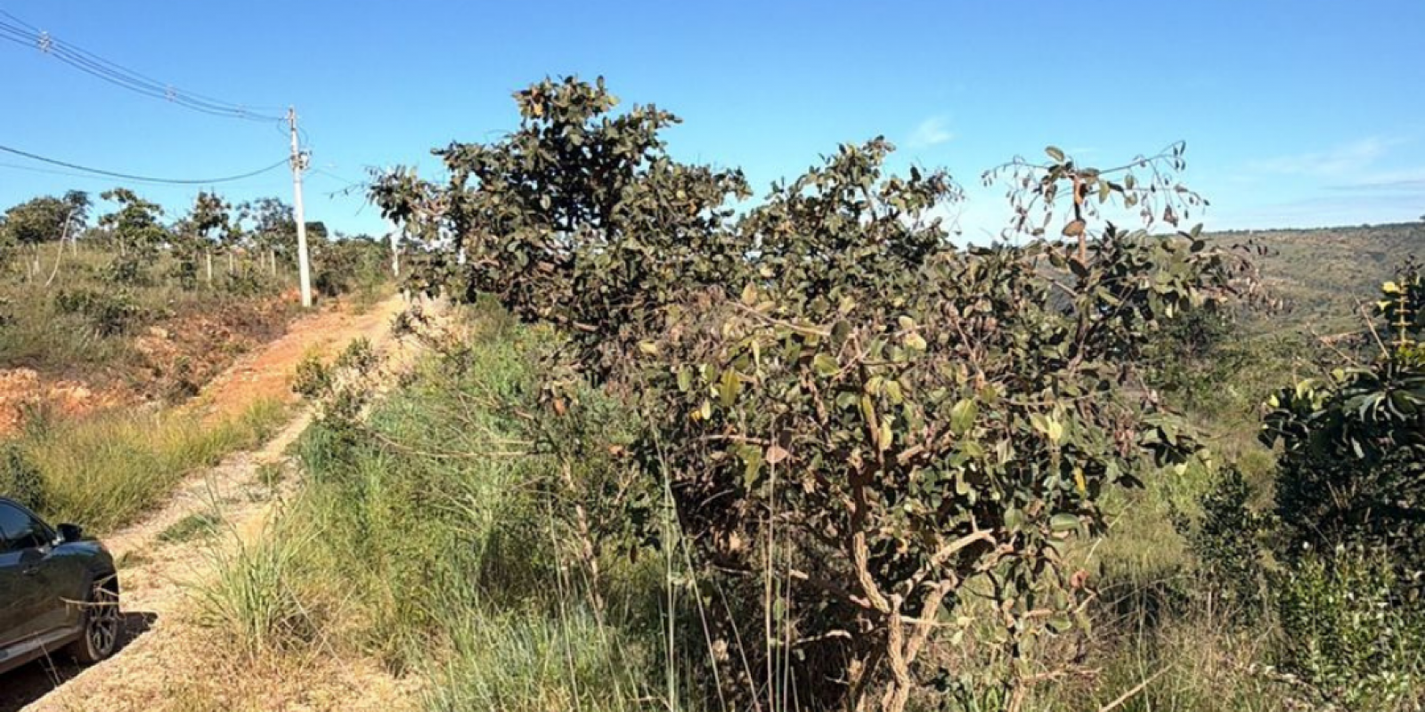 LOTE Á VENDA EM CAETANÓPOLIS/MG  - Foto 4 de 4